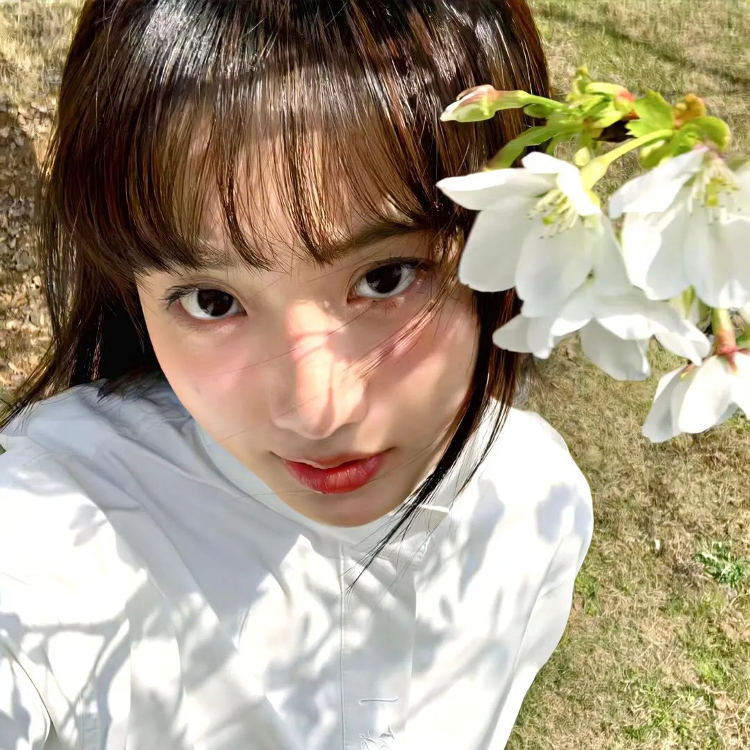 狮子军龙虎鬪